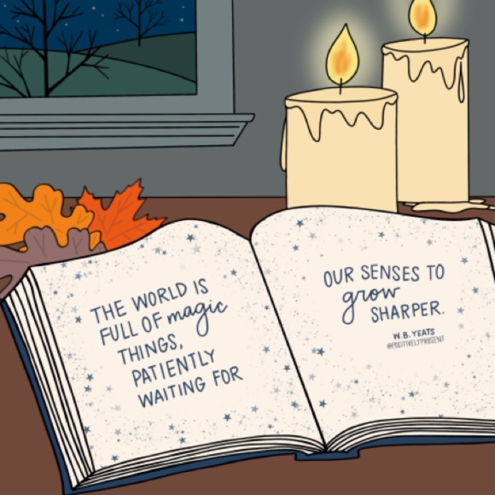 Cozy books
